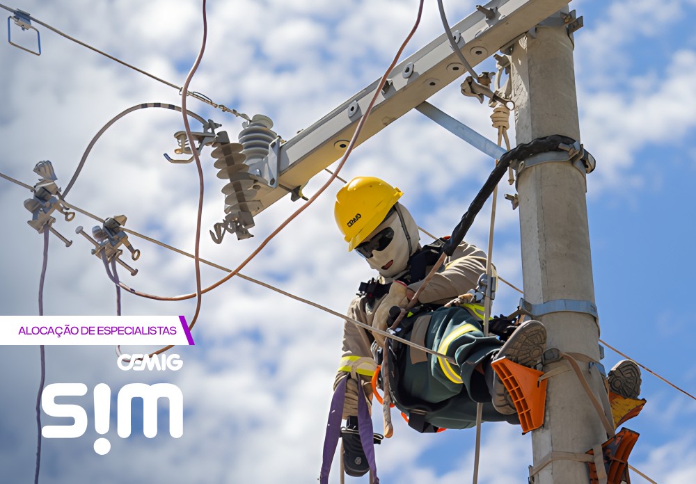 Outsourcing de TI no setor de energia — Cemig SIM