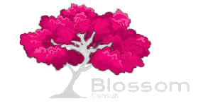 Blossom Consult